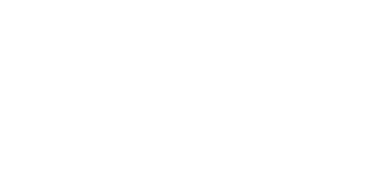 20:20 MSL logo